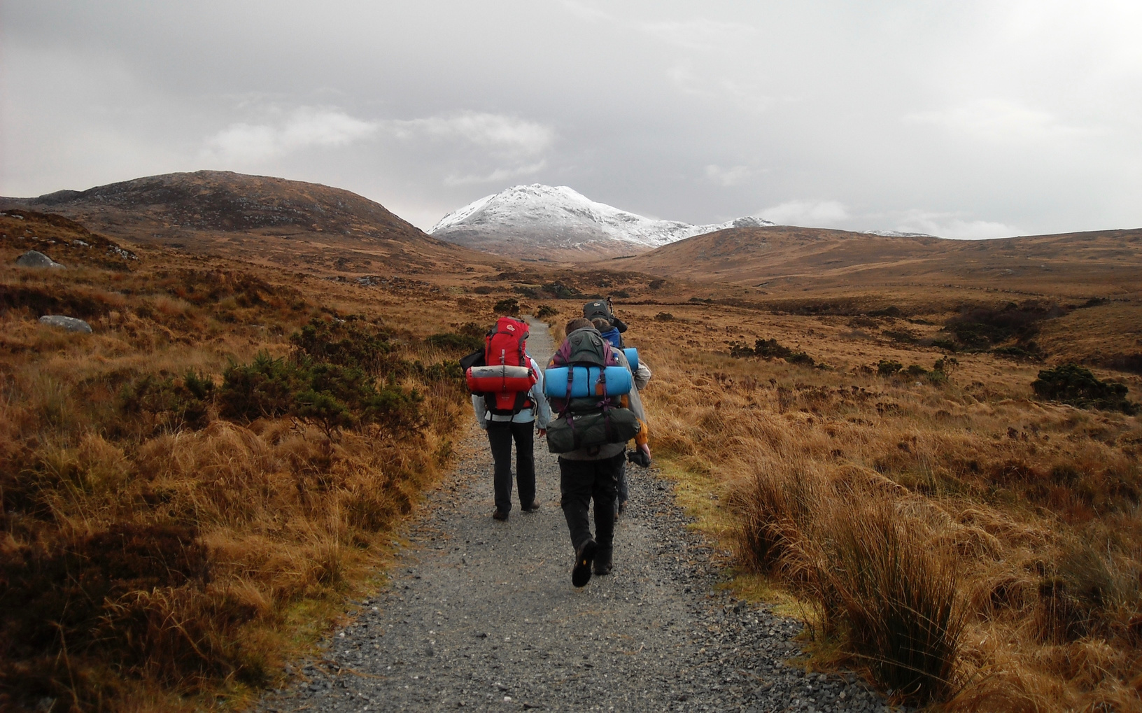 Hikers Walking on a Trail